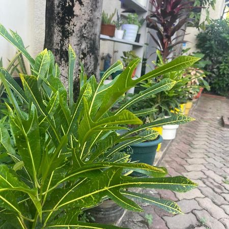 L&J Modern Backpackers Kinondoni Bed & Breakfast Dar es Salaam Ngoại thất bức ảnh