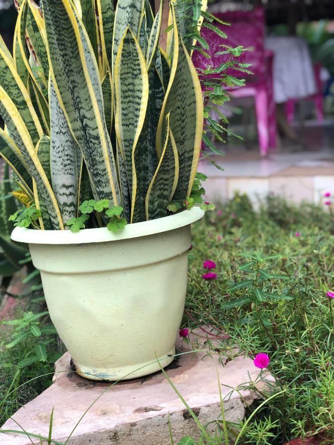 L&J Modern Backpackers Kinondoni Bed & Breakfast Dar es Salaam Ngoại thất bức ảnh