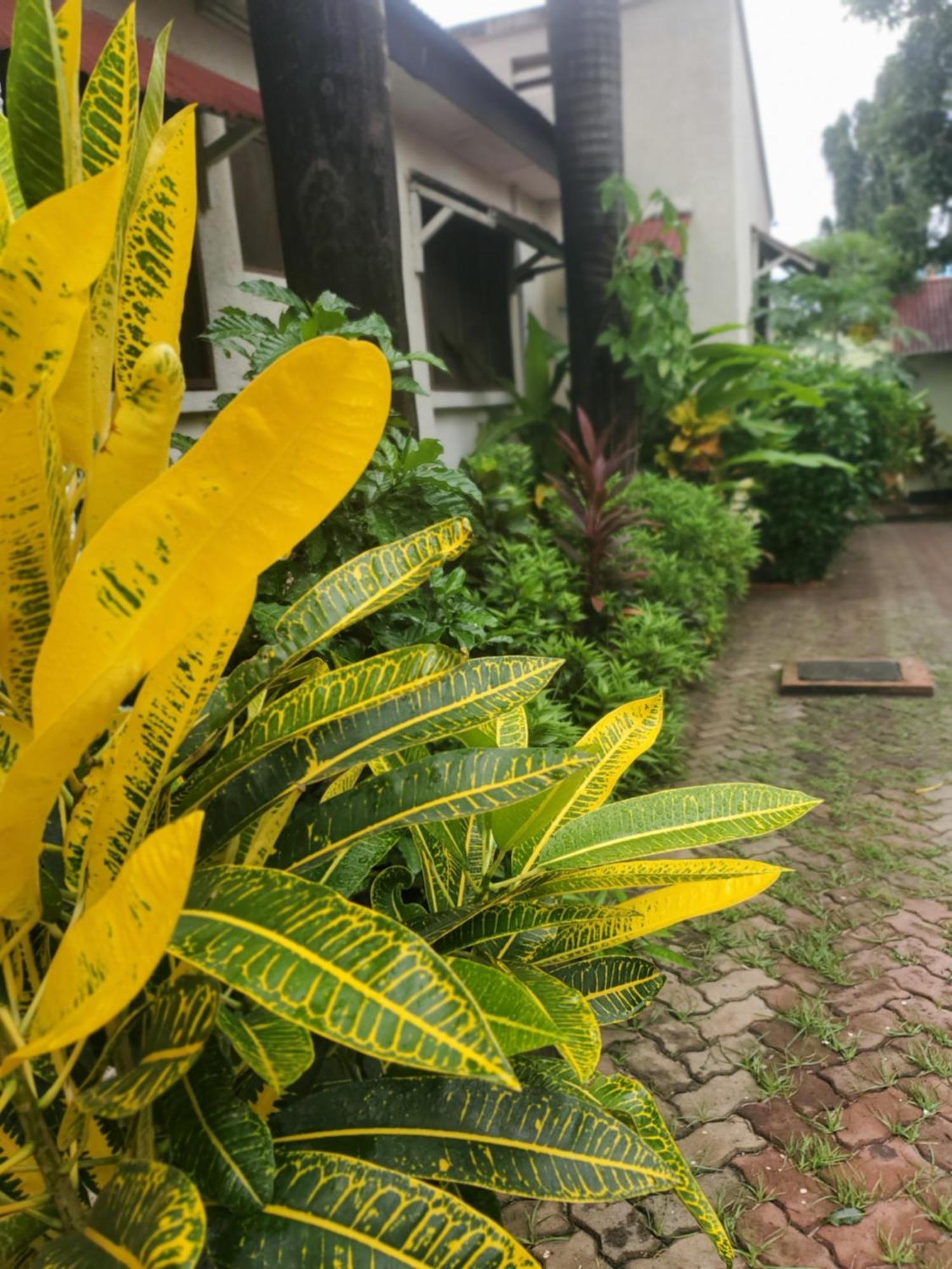 L&J Modern Backpackers Kinondoni Bed & Breakfast Dar es Salaam Ngoại thất bức ảnh